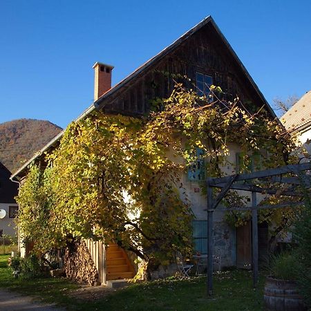 Fara Vintage House Podliparskaゲストハウス エクステリア 写真