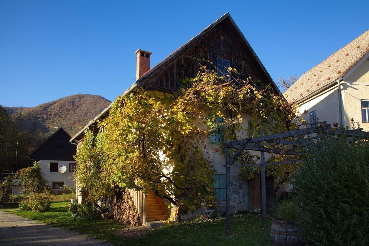 Fara Vintage House Podliparskaゲストハウス エクステリア 写真