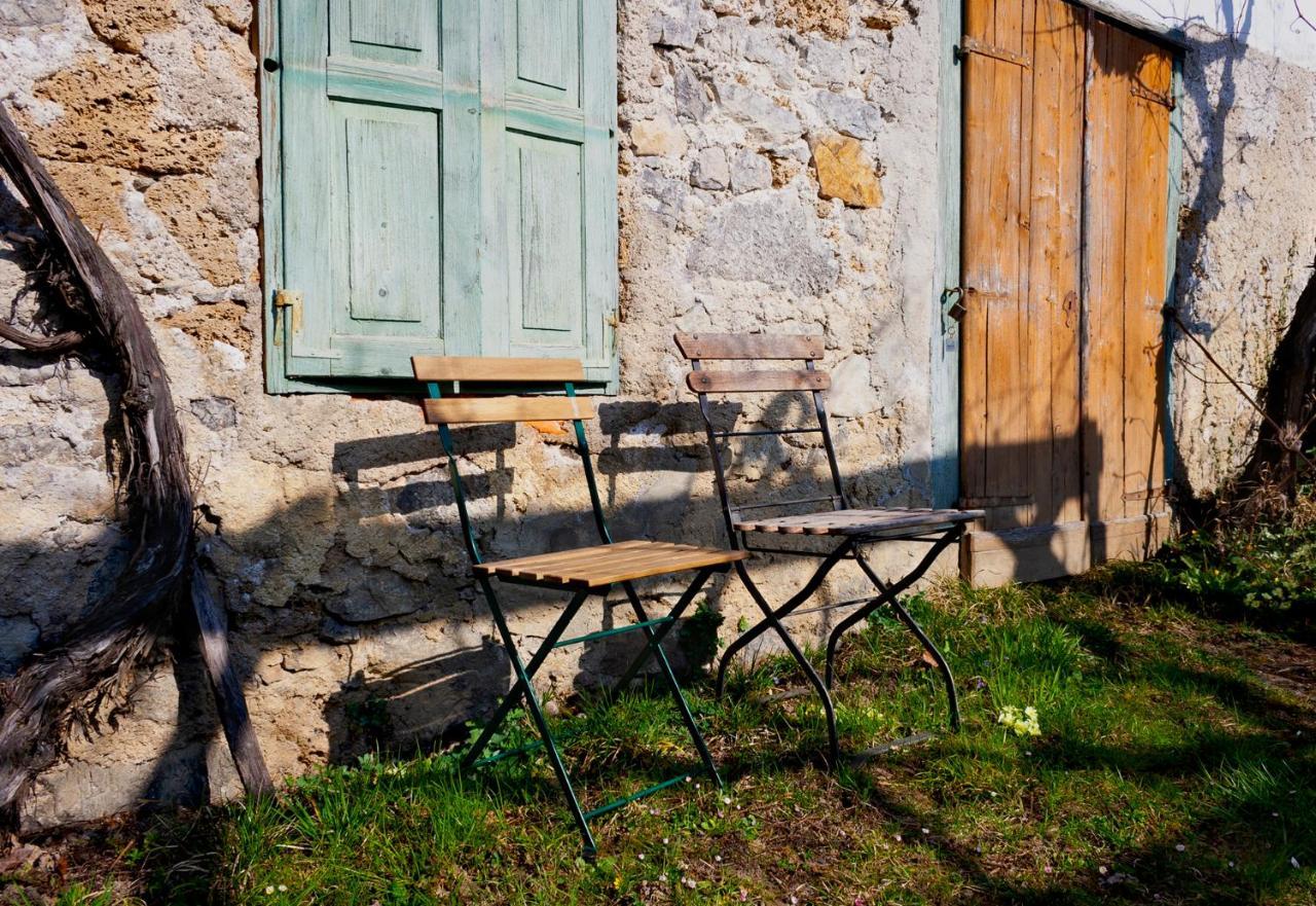 Fara Vintage House Podliparskaゲストハウス エクステリア 写真