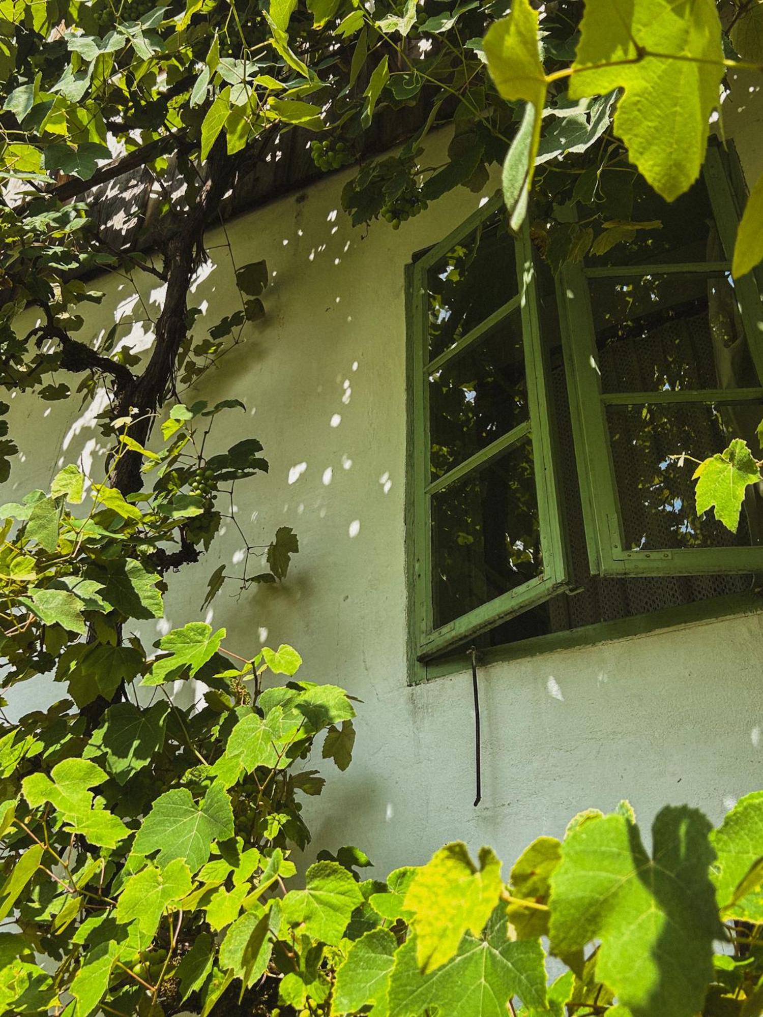 Fara Vintage House Podliparskaゲストハウス エクステリア 写真