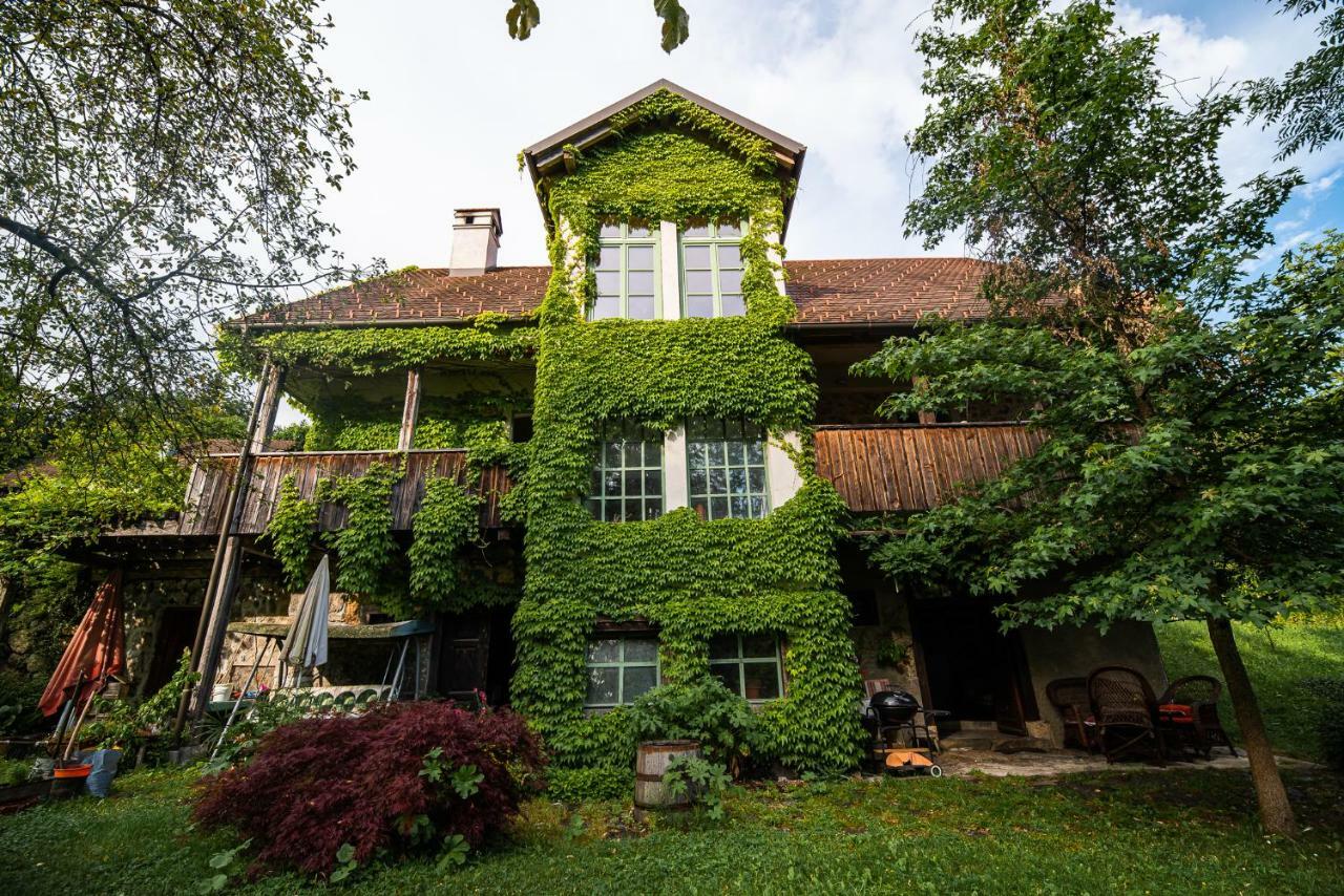 Fara Vintage House Podliparskaゲストハウス エクステリア 写真
