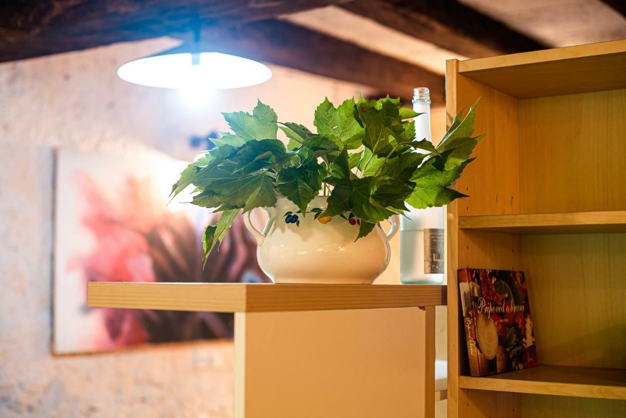 Fara Vintage House Podliparskaゲストハウス エクステリア 写真