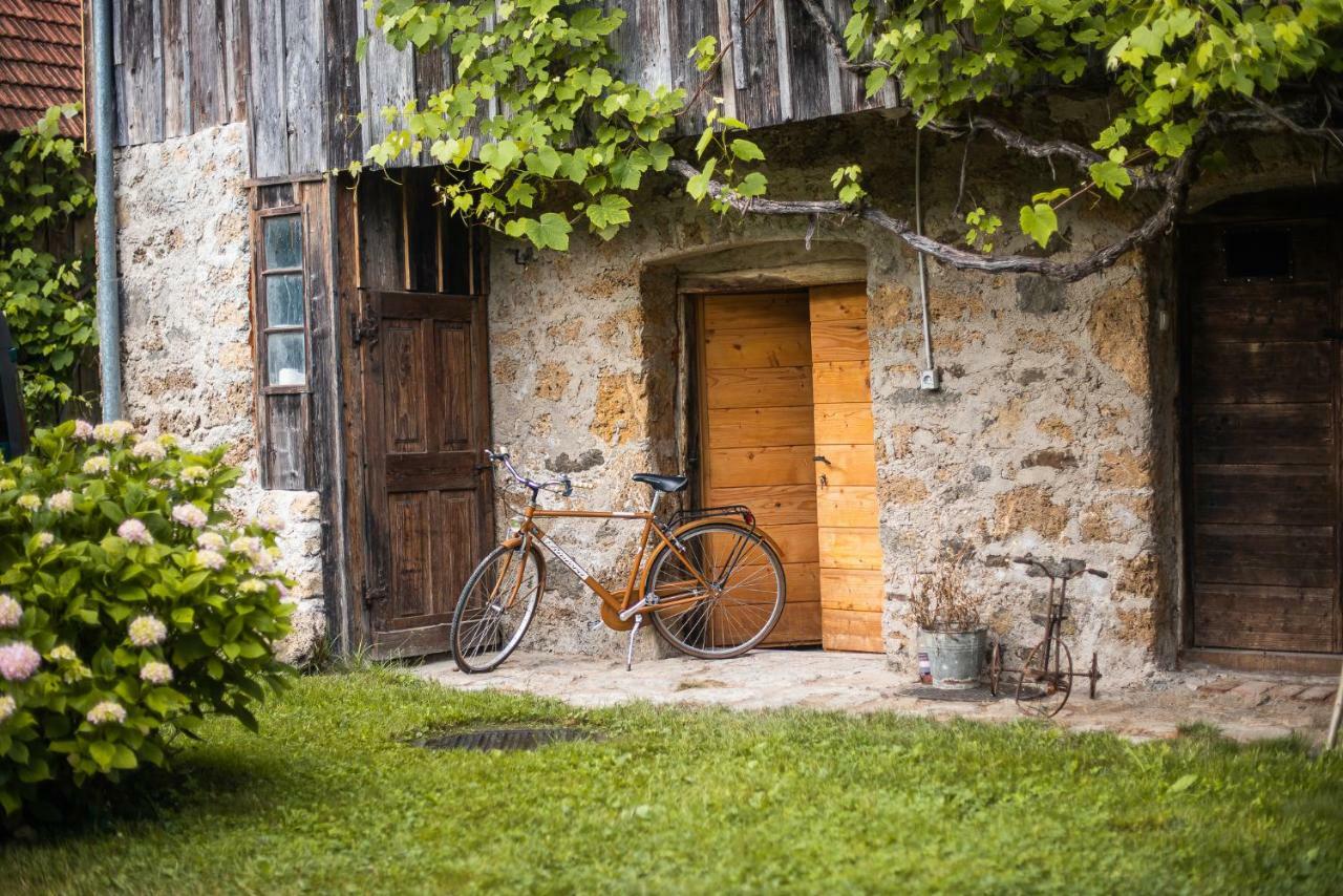 Fara Vintage House Podliparskaゲストハウス エクステリア 写真