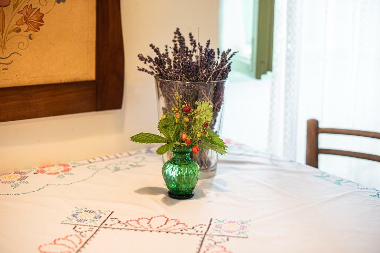 Fara Vintage House Podliparskaゲストハウス エクステリア 写真