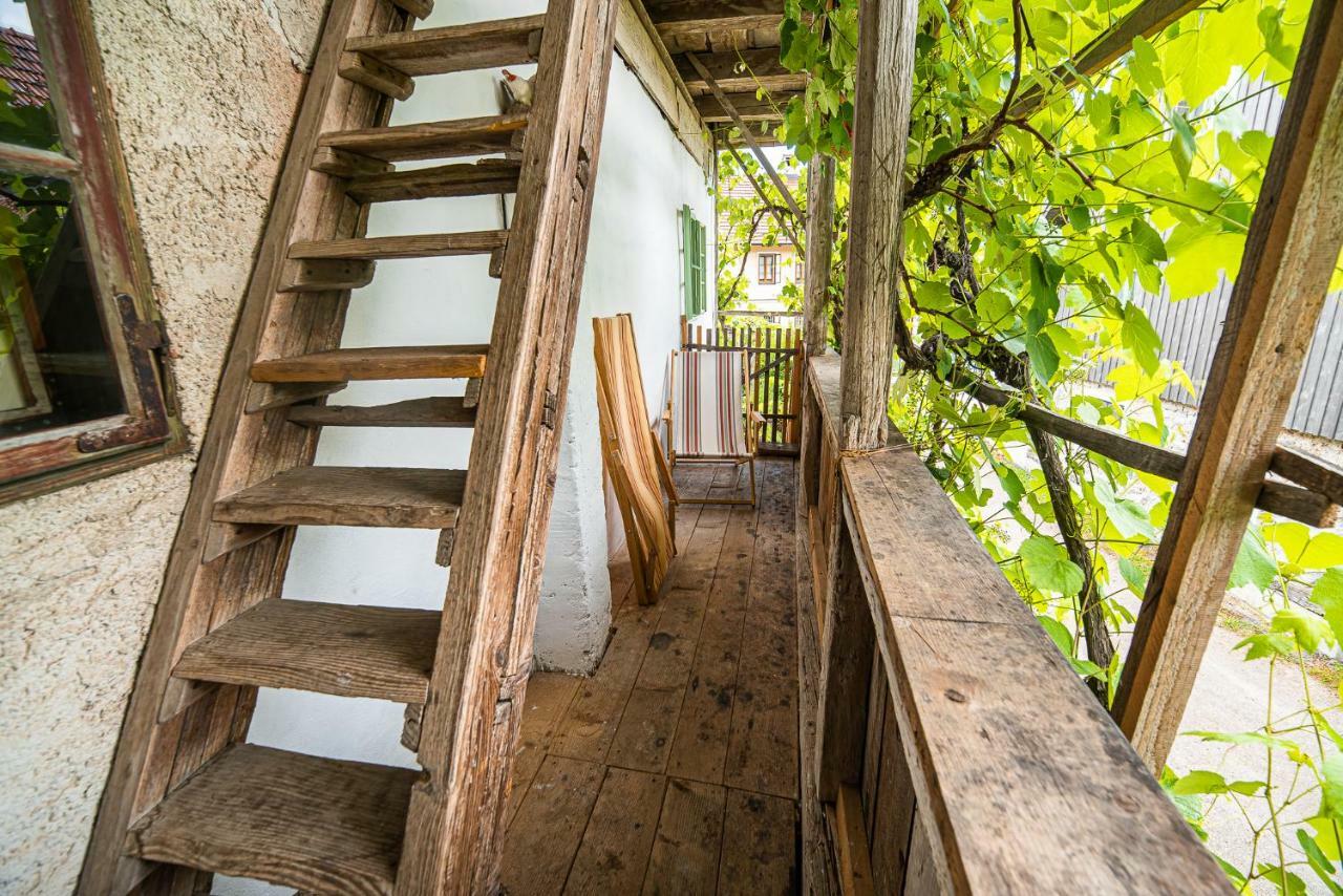 Fara Vintage House Podliparskaゲストハウス エクステリア 写真